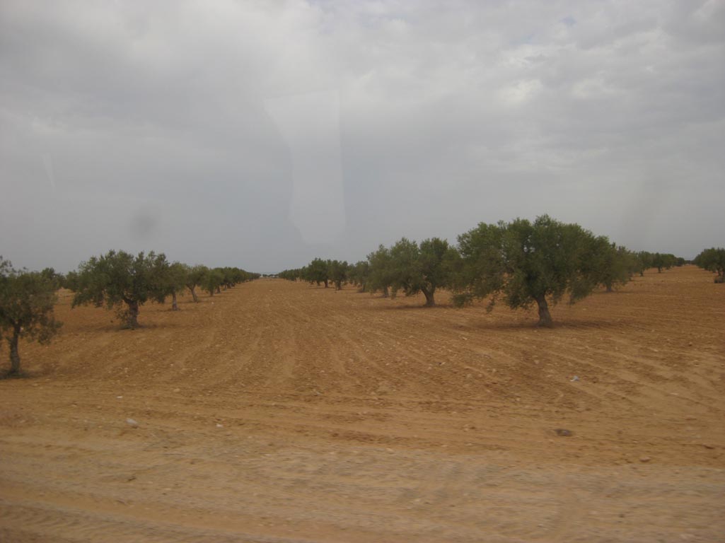 i/Family/Djerba/Safari - Djerba 2009 162.jpg